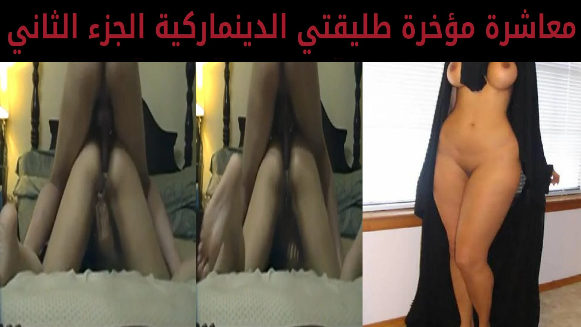 معاشرة مؤخرة طليقتي الدينماركية الجزء الثاني